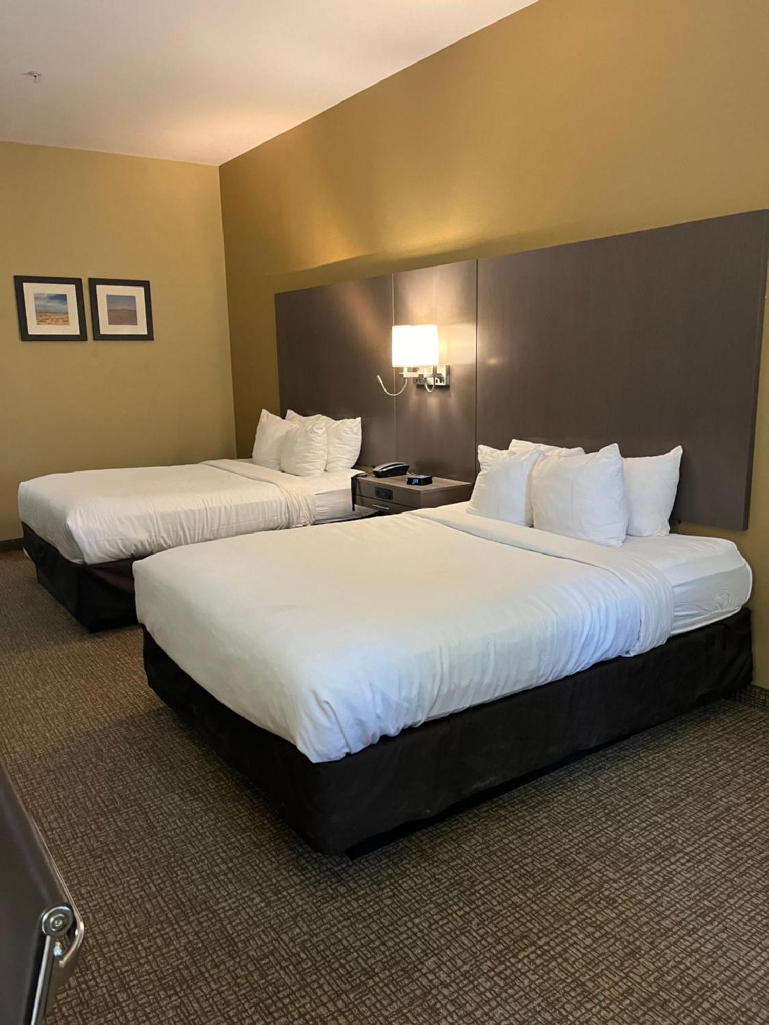Comfort Inn & Suites Monahans I-20 Ngoại thất bức ảnh