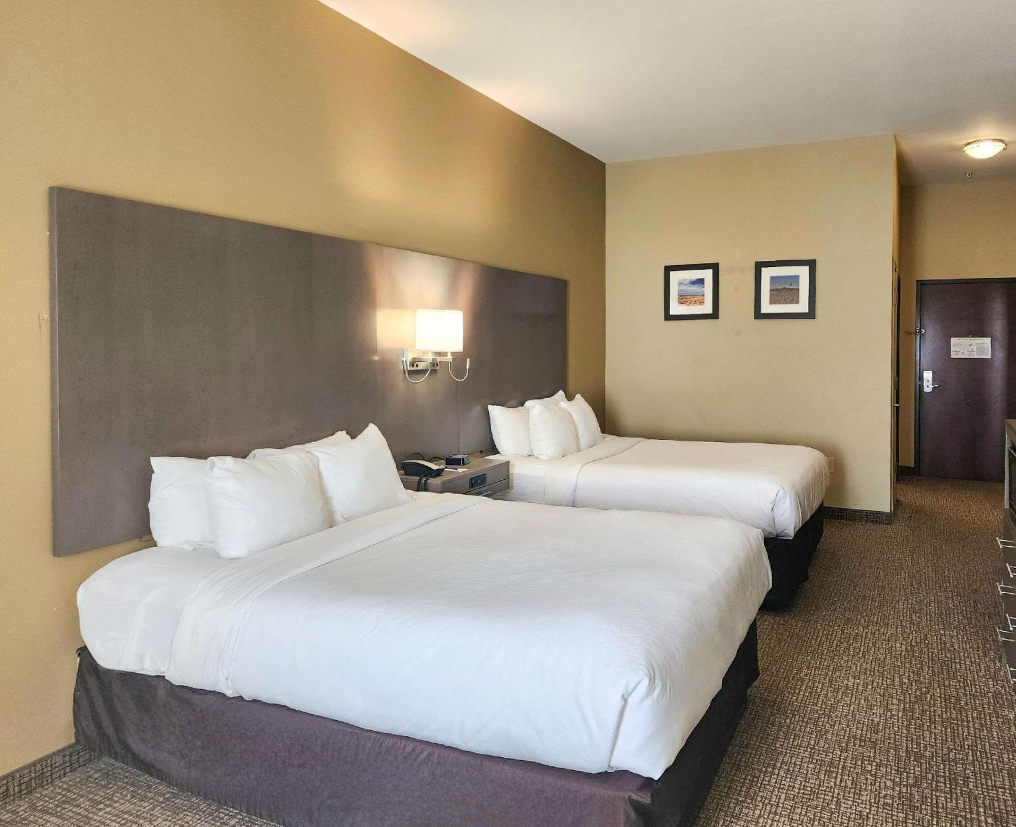 Comfort Inn & Suites Monahans I-20 Ngoại thất bức ảnh